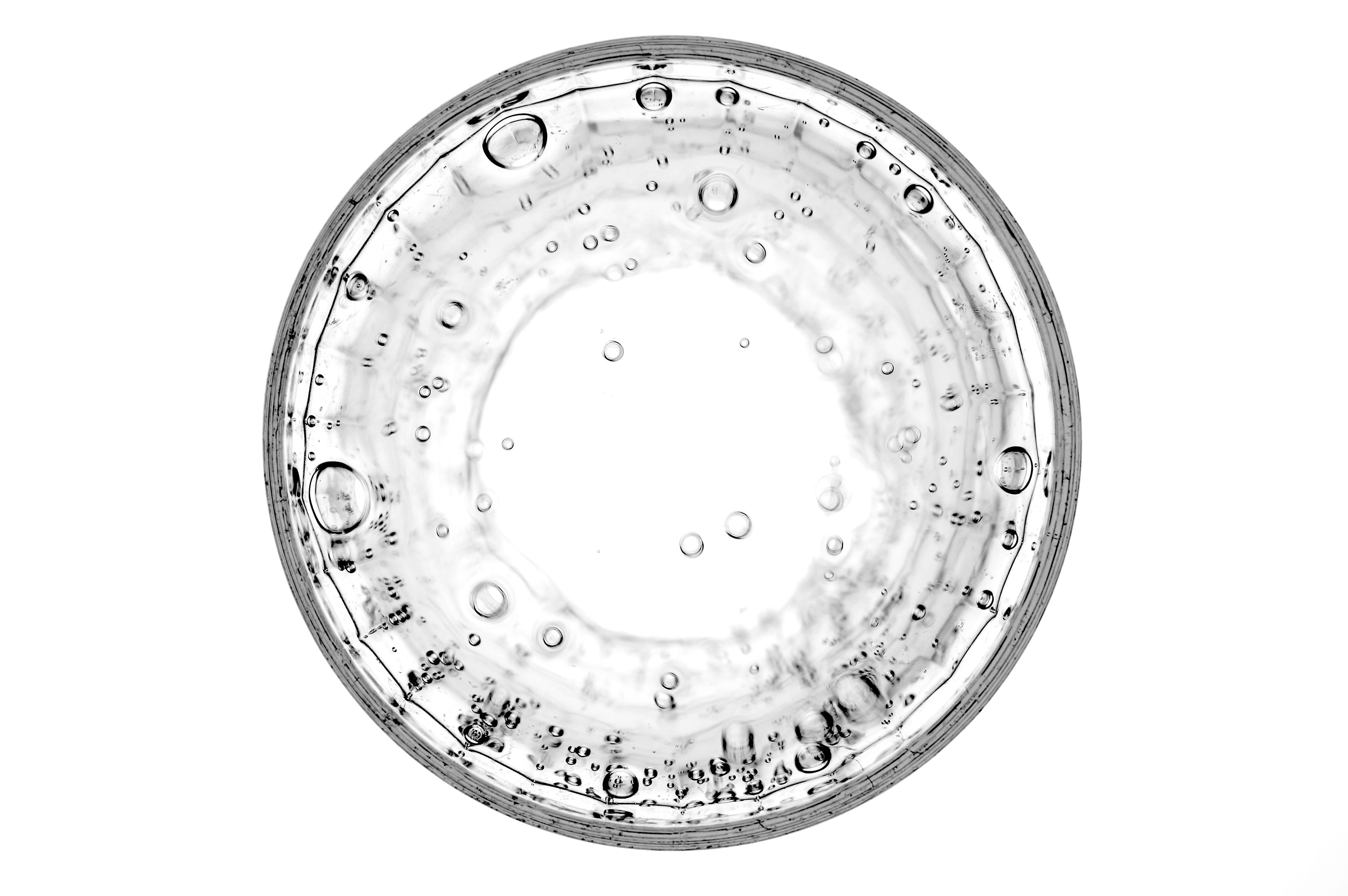 Petri dish